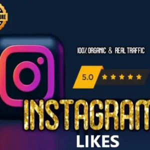 Buy-Instagram-Likes-Malaysia-igfollowersmalaysia.com